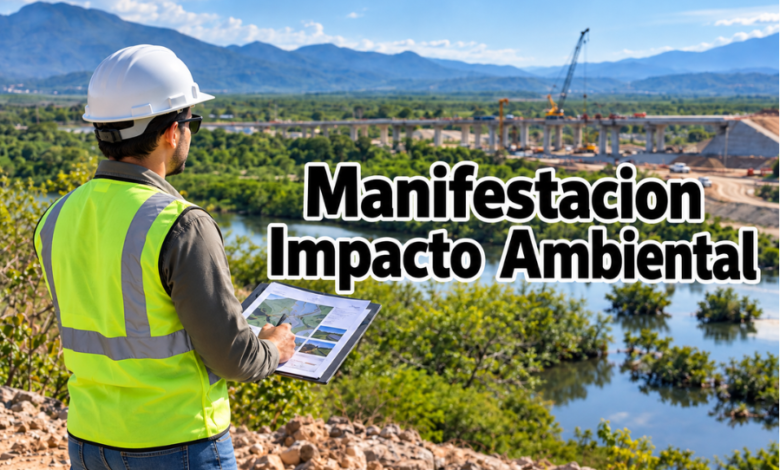 Manifestacion Impacto Ambiental